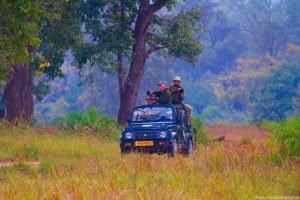 Kanha Meadows