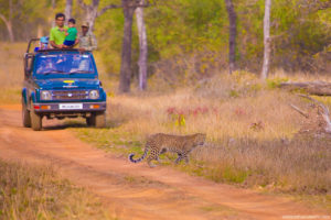 Perfect Road Block