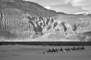 Nubra Valley